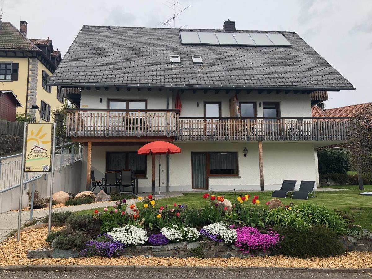 Landhotel Und Apartments Sonneck Feldberg  Exterior foto